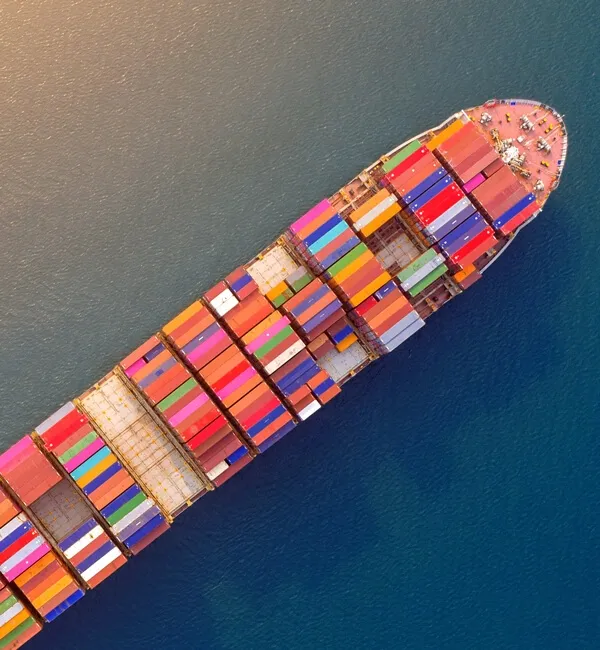 Gümrükleme ve Dış Ticaret Danışmanlığı