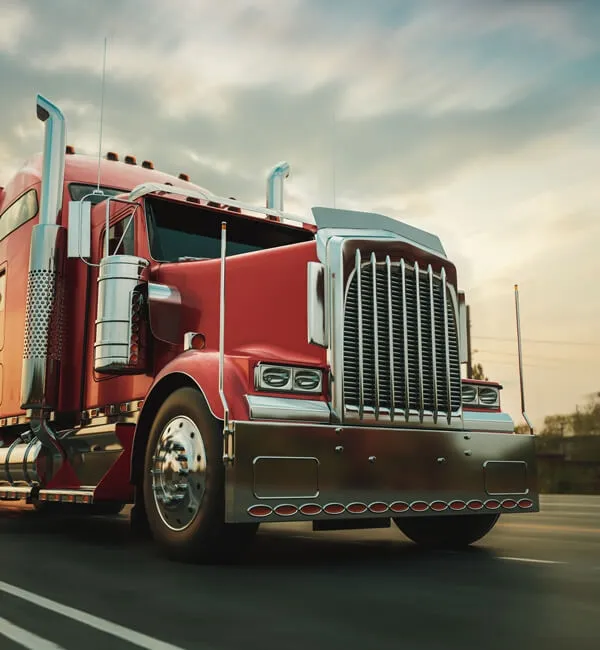 İthalat & İhracat Operasyonları